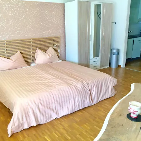 Apartment Double Classic-8 By Interhome Ascona