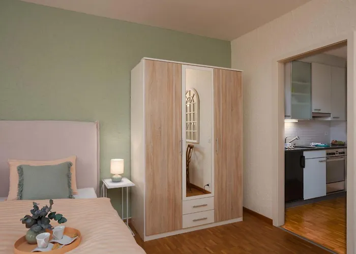 Double Classic-8 By Interhome Apartamento Ascona